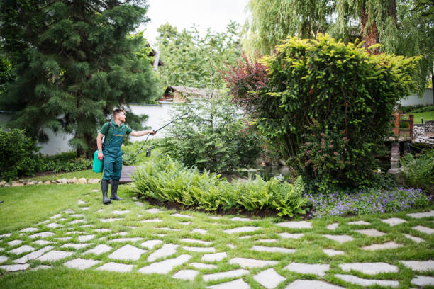 Best Local Pest Control Services  in Wimberley, TX