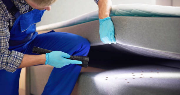 Best Pest Inspection Near Me  in Wimberley, TX
