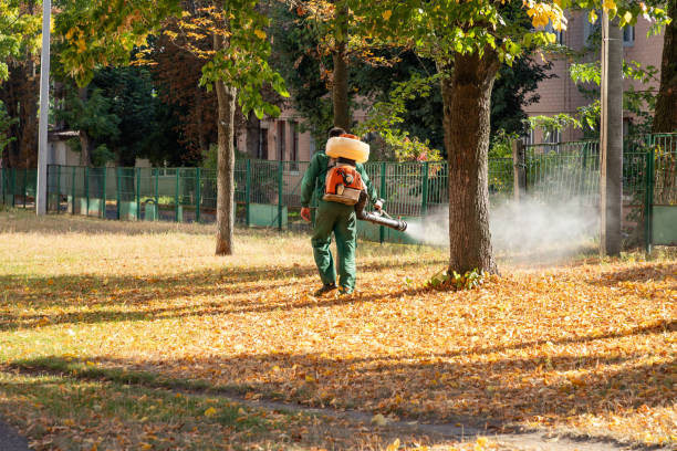 Best Pest Removal Services  in Wimberley, TX